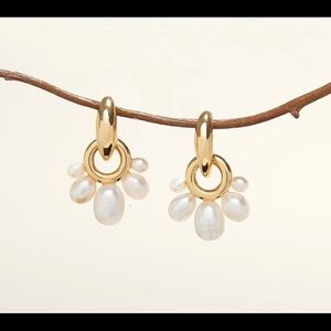 Mignonne Gavigan Pearl Drop Earrings